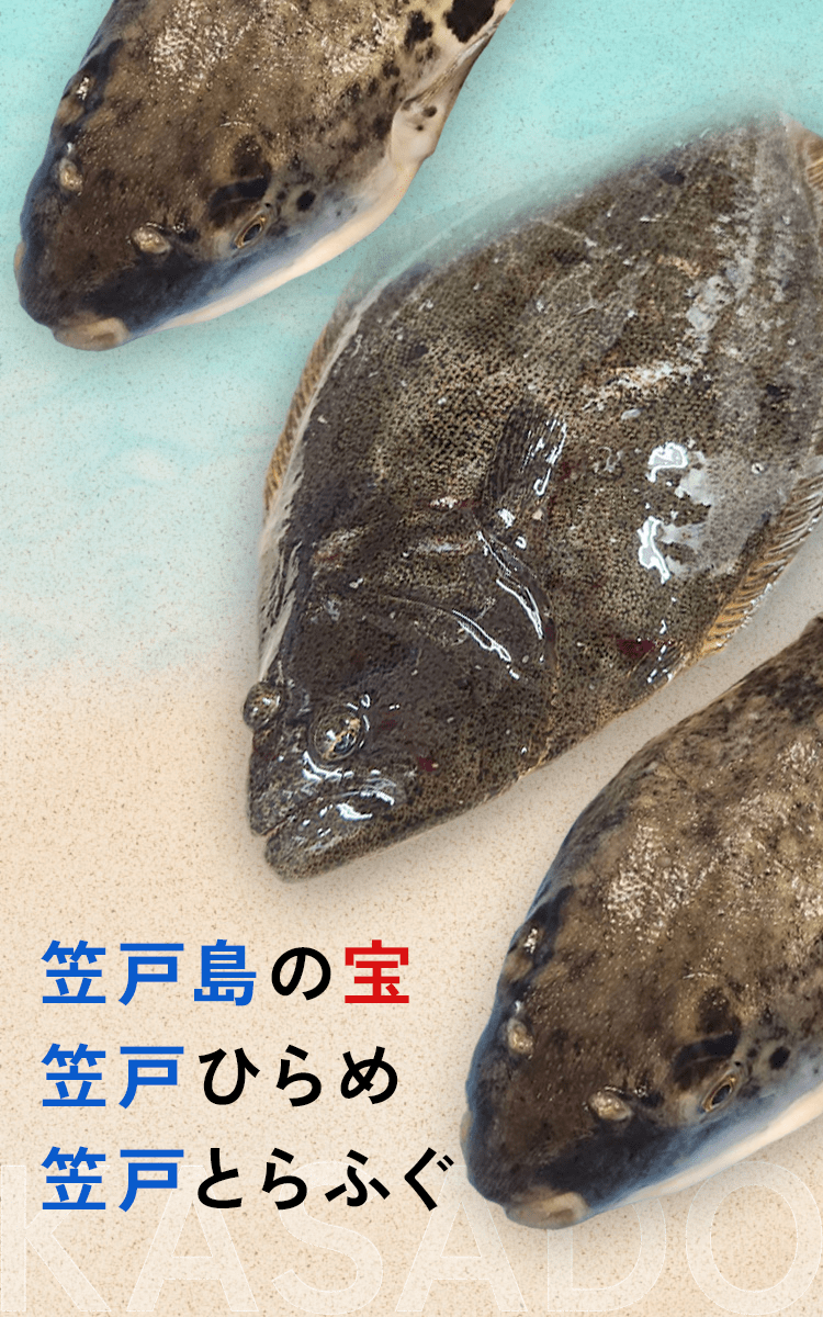 笠戸島の宝 笠戸ひらめ 笠戸とらふぐ